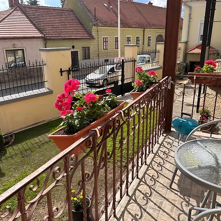 Balazs Apartament *